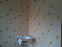 2013-04-06 13.13.59.jpg