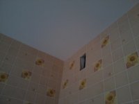 2013-04-06 13.14.03.jpg