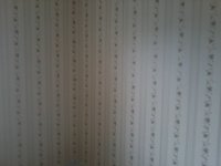 2013-04-10 17.14.50.jpg