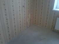 2013-04-10 17.15.00.jpg