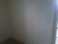 2013-04-10 17.18.16.jpg