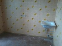 2013-04-10 17.19.17.jpg