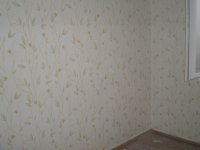P4130072.JPG