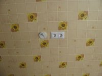 IMG_6730.JPG