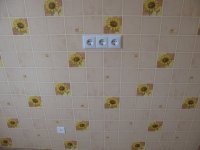 IMG_6731.JPG