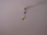 IMG_6739.JPG