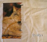 1P1010699_новый размер.JPG
