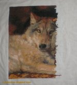 P1010204_новый размер.JPG