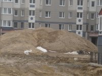 IMG_2016_новый размер.JPG