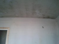 2013-04-24 13.48.42.jpg