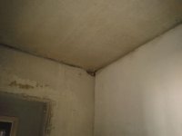 2013-04-24 13.49.31.jpg