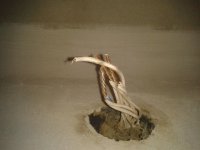 2013-04-24 13.49.59.jpg