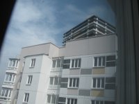 IMG_6794.JPG