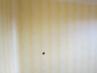 IMG_2810_новый размер.JPG