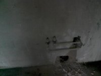 IMG10082.jpg
