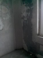 IMG10084.jpg
