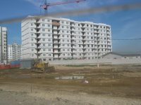 IMG_2022_новый размер.JPG