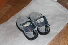 IMG_2564.JPG