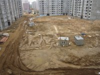 IMG_3549_новый размер.JPG