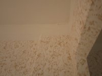 IMG_3539_новый размер.JPG