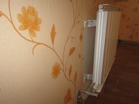 IMG_3472_новый размер.JPG