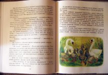 IMG_0425h.jpg