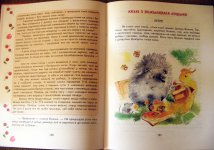 IMG_0435h.jpg
