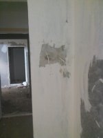 IMG10116.jpg