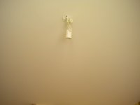 DSCN2437.JPG