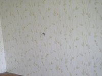 DSCN2461.JPG
