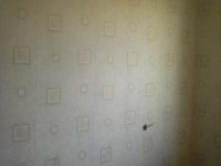 DSCN2464.JPG