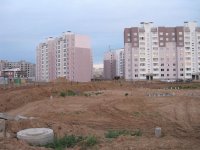 IMG_8184.JPG
