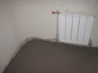IMG_2786.jpg