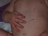 P5256194_.jpg