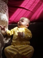 P6026339_.jpg