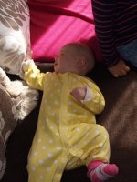 P6026340_.jpg