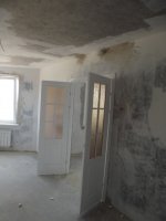 DSCF5491.jpg