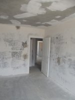 DSCF5503.jpg