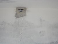 DSCF5506.jpg