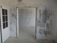 DSCF5530.jpg