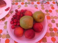 IMG_1475.JPG