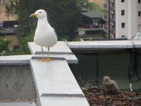 IMG_1457.JPG