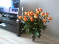 2013-06-15 12.23.38.jpg