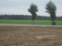 IMG_2167_новый размер.JPG