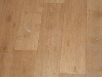 DSC03220.JPG