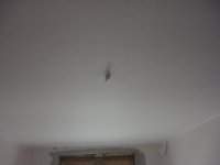 DSC03223.JPG