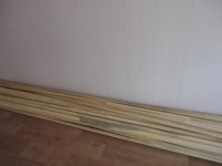 DSC03253.JPG