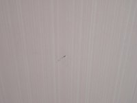 DSC03254.JPG