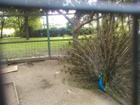 WP_000814.jpg