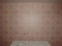 DSC00028.jpg